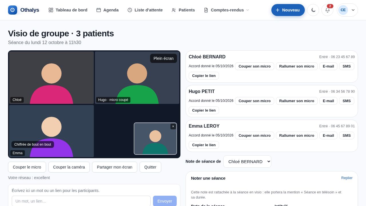 Une séance de groupe en visio, les micros coupés un par un